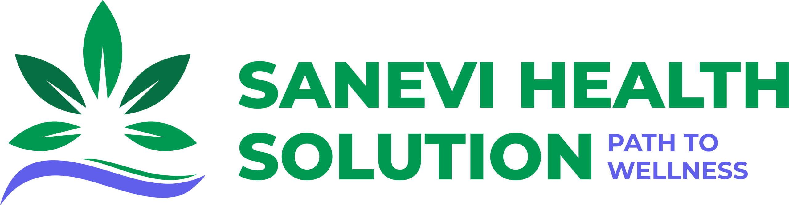 Sanevi Health Solutions